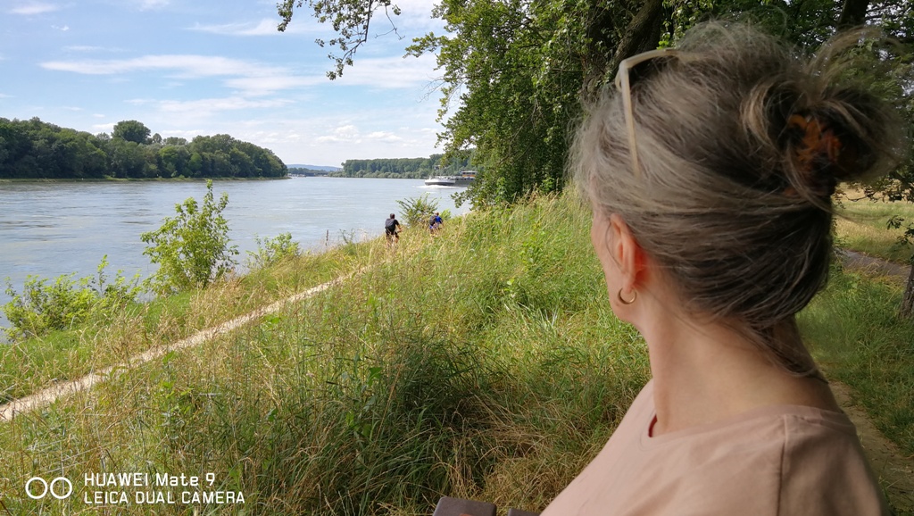 Ausflug mit Elektroauto an den Rhein mit Verbrauchswerte zum sparen